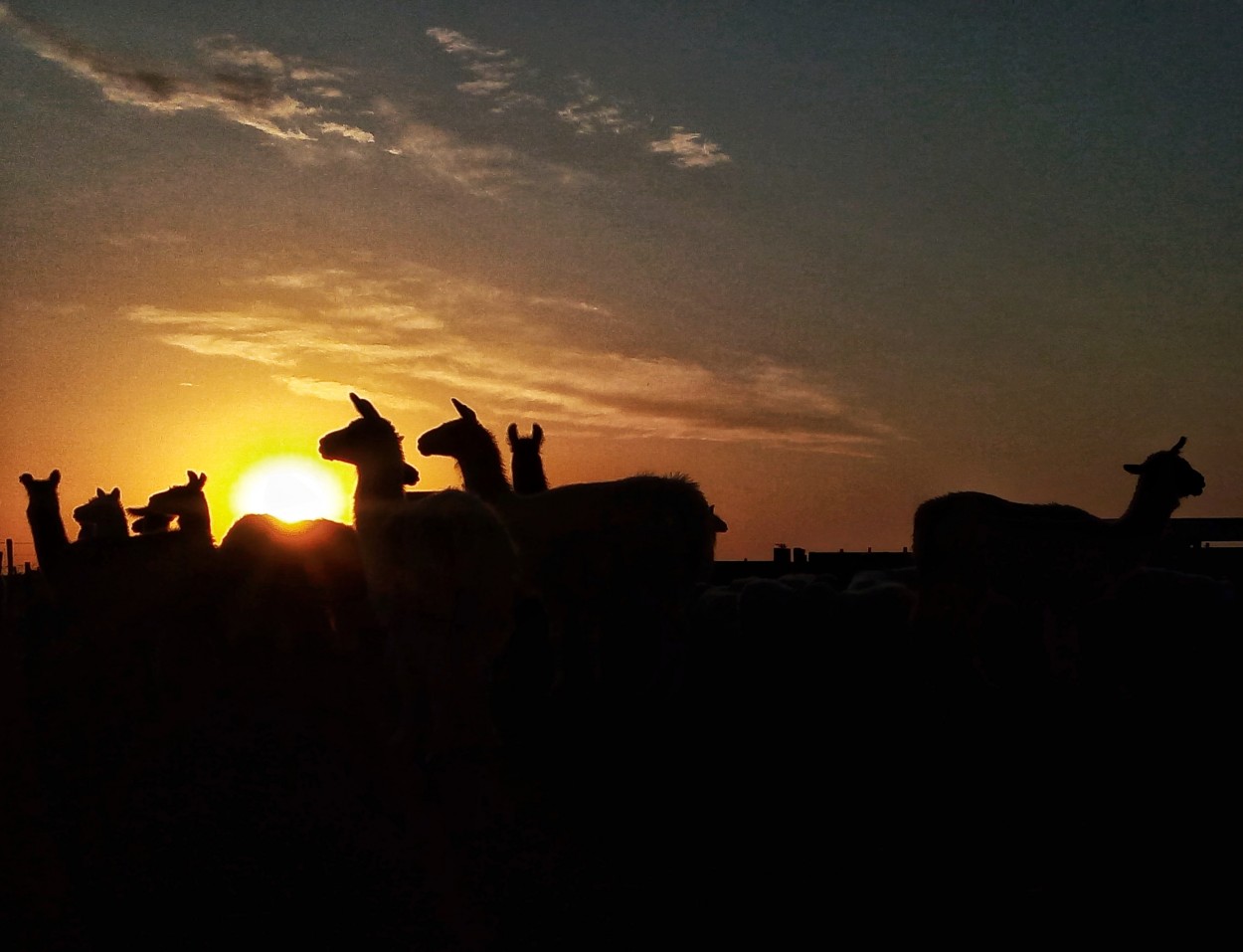 "Atardecer Llamativo" de Mirella Kayperci