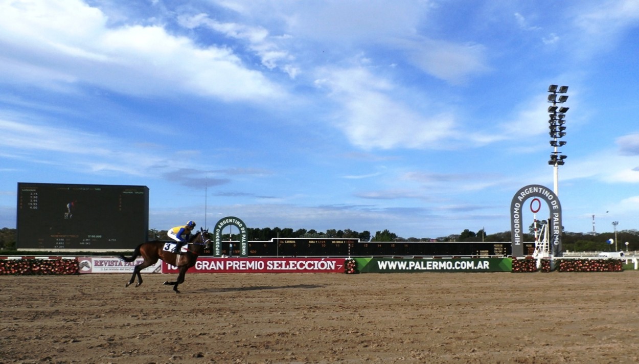 "Hipodromo" de Alejandra Gientikis Tarantino