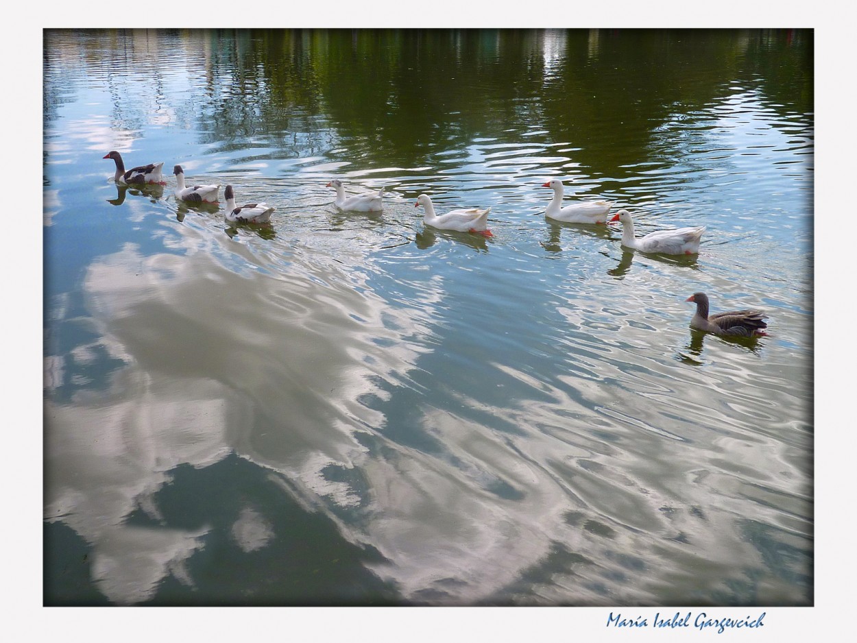 "De paseo por las nubes" de Mara Isabel Gargevcich