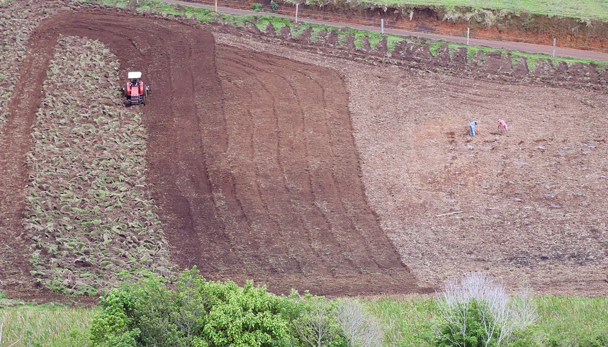 "Valorizar o campo ! ( Fv. ler )" de Decio Badari