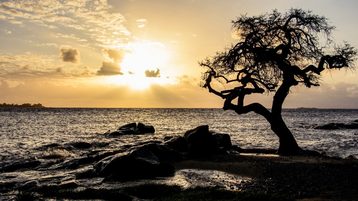 "Atardecer." de Mara Baiza