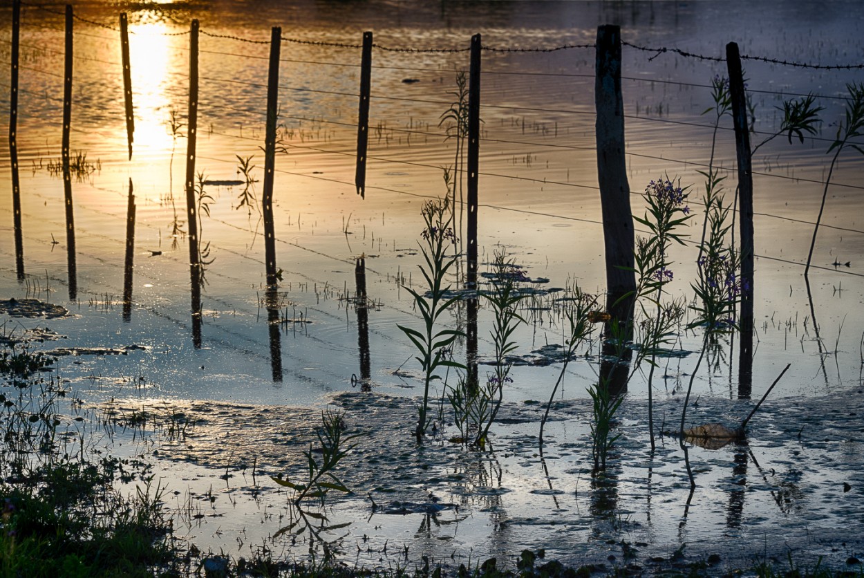 "Reflejos y colores del atardecer" de Fernando Valdez Vazquez