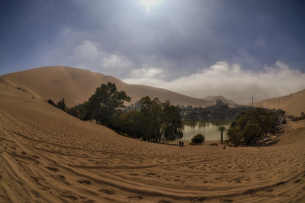 "Agua en el desierto" de Mercedes Orden