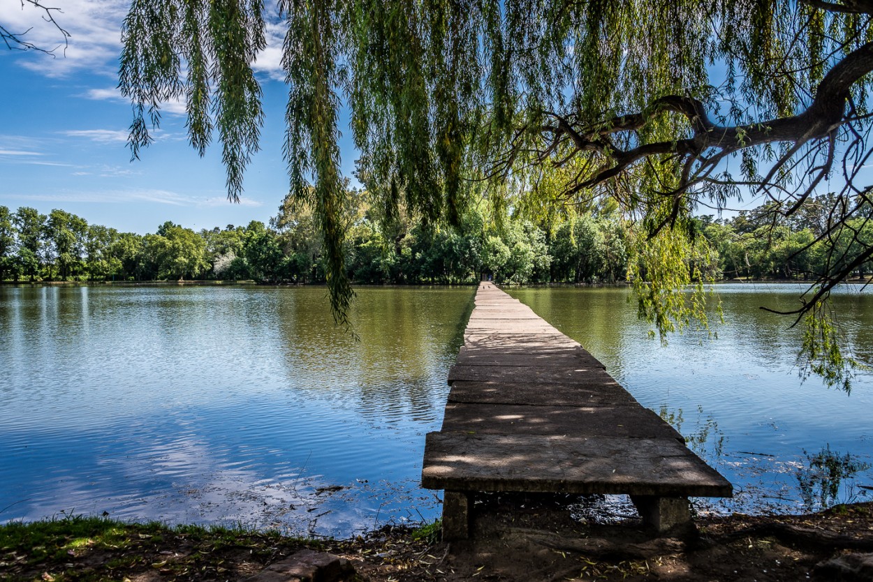 "El puente" de Fernando Valdez Vazquez