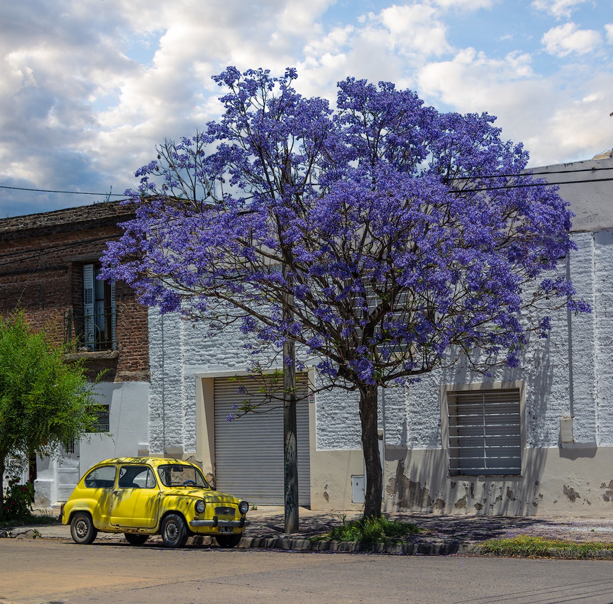 "El fiat" de Fernando Valdez Vazquez