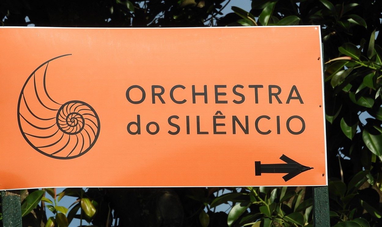 "Orchestra do silencio ? ( Fv. ler )" de Decio Badari