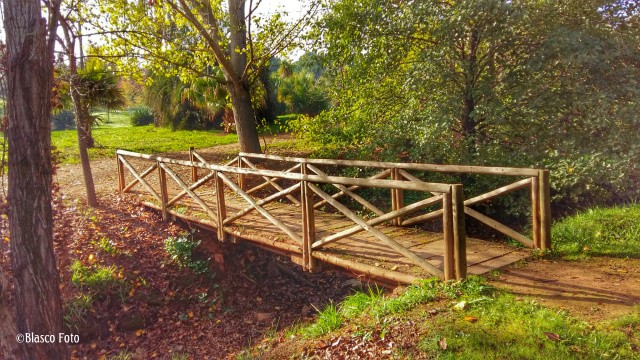 "El puente de madera" de Luis Blasco Martin