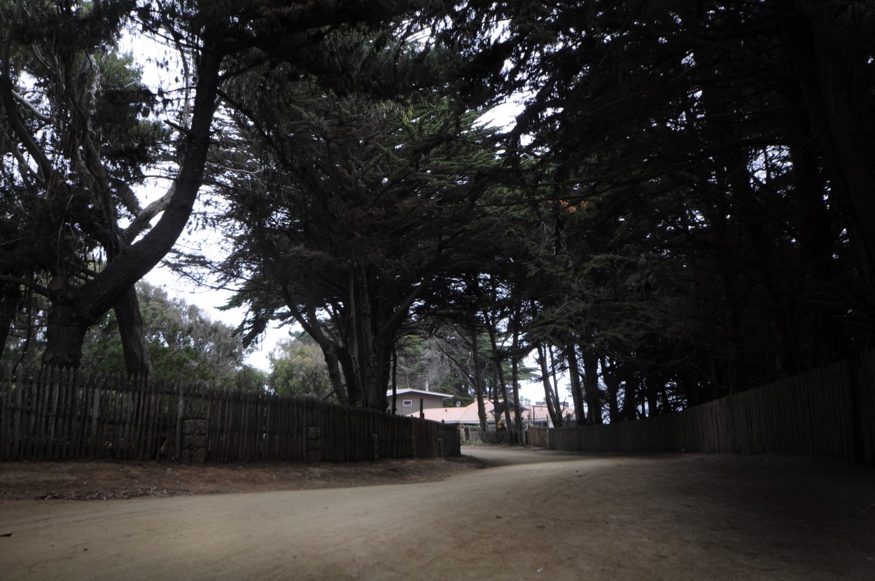 "por las calles de Isla negra." de Marcelo Nestor Cano