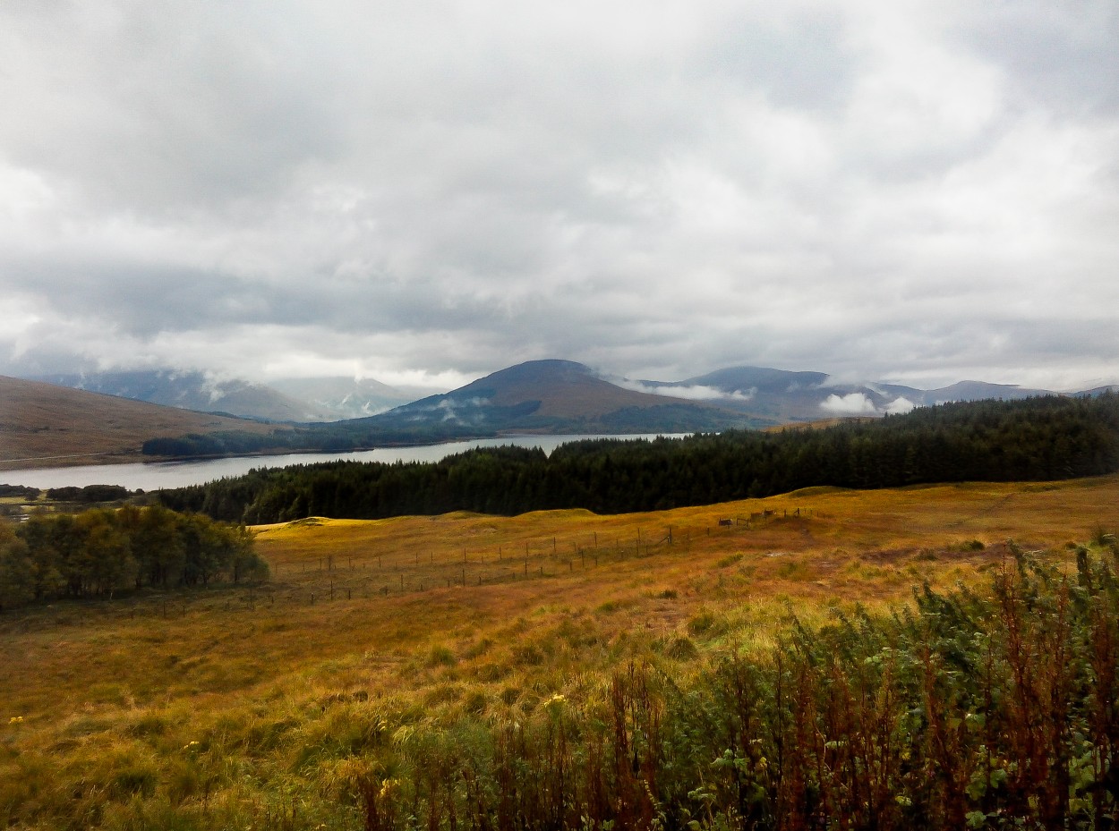 "` BEN NEVIS`" de Graciela Larrama