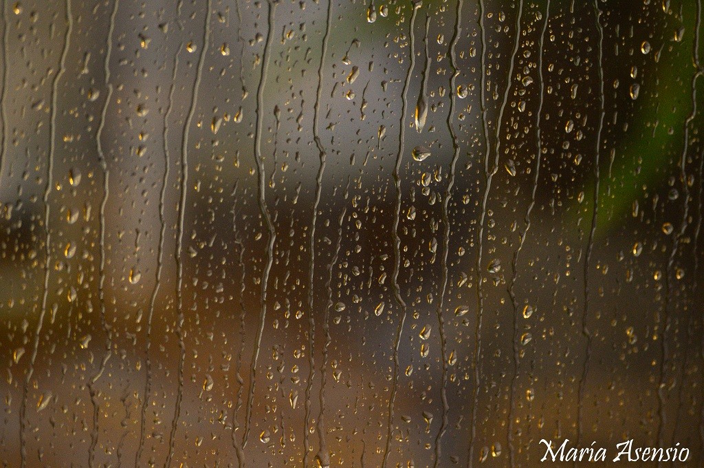 "Lluvia" de Maria Alejandra Asensio