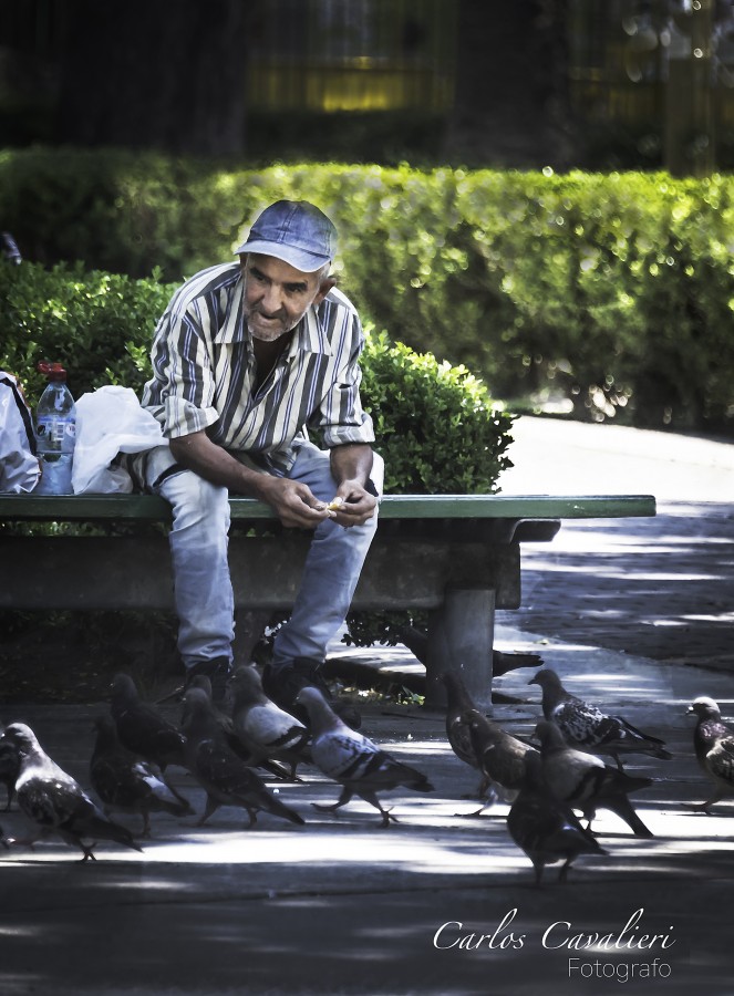 "`El amigo de los pichones`" de Carlos Cavalieri