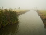 Niebla en el canal