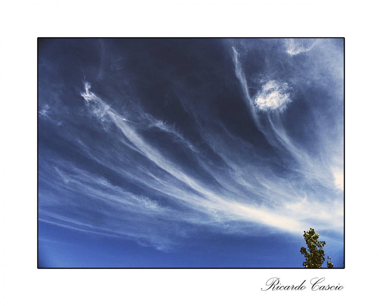 "Cielitos de mi tierra" de Ricardo Cascio