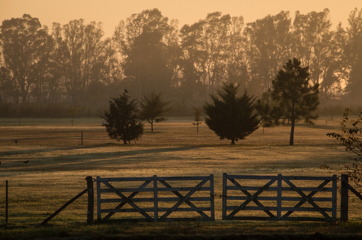 "Las sombras largas del amanecer" de Fernando Valdez Vazquez