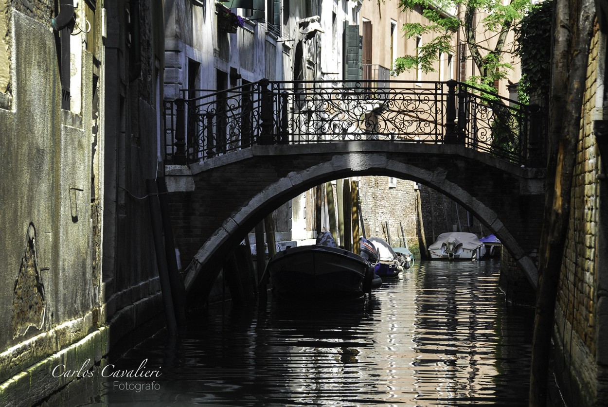 "La poetica Venezia" de Carlos Cavalieri