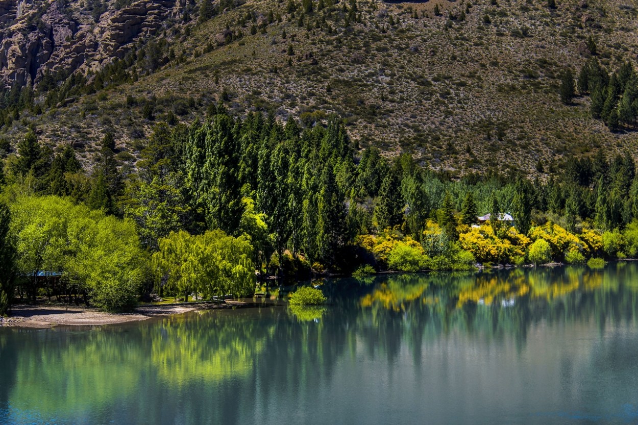 "CUIDEMOS al Rio Limay" de Marta Dominici