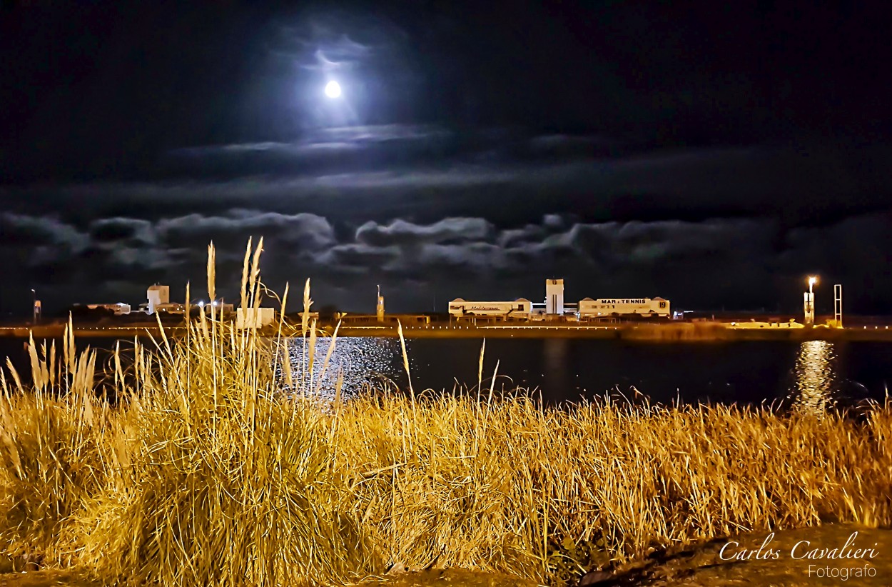 "`Noches doradas frente al mar`" de Carlos Cavalieri