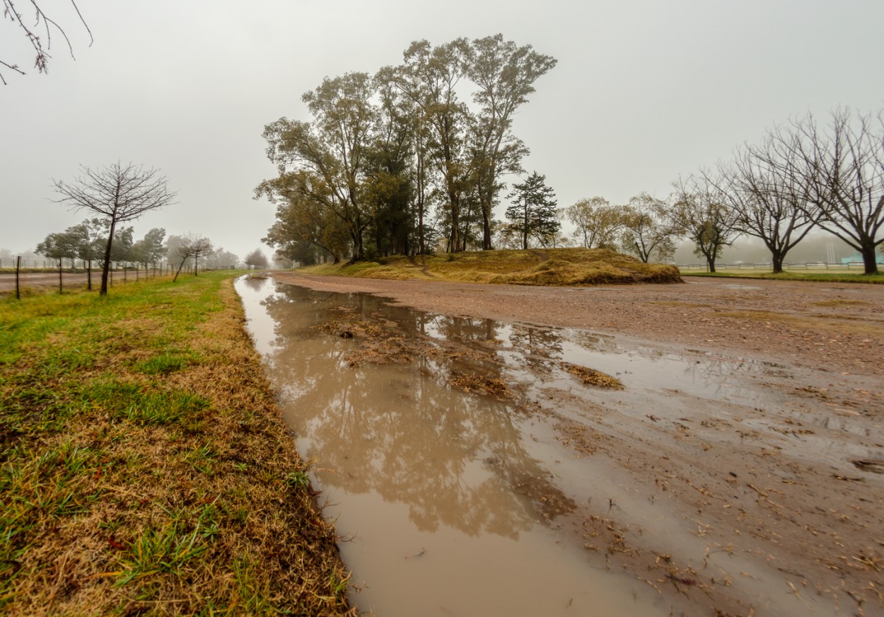 "Lo que dej la lluvia" de Fernando Valdez Vazquez