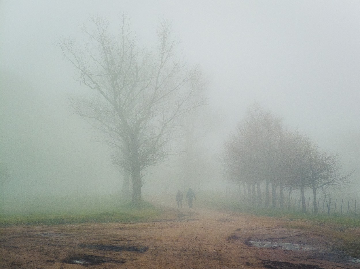 "Fantasmas" de Fernando Valdez Vazquez