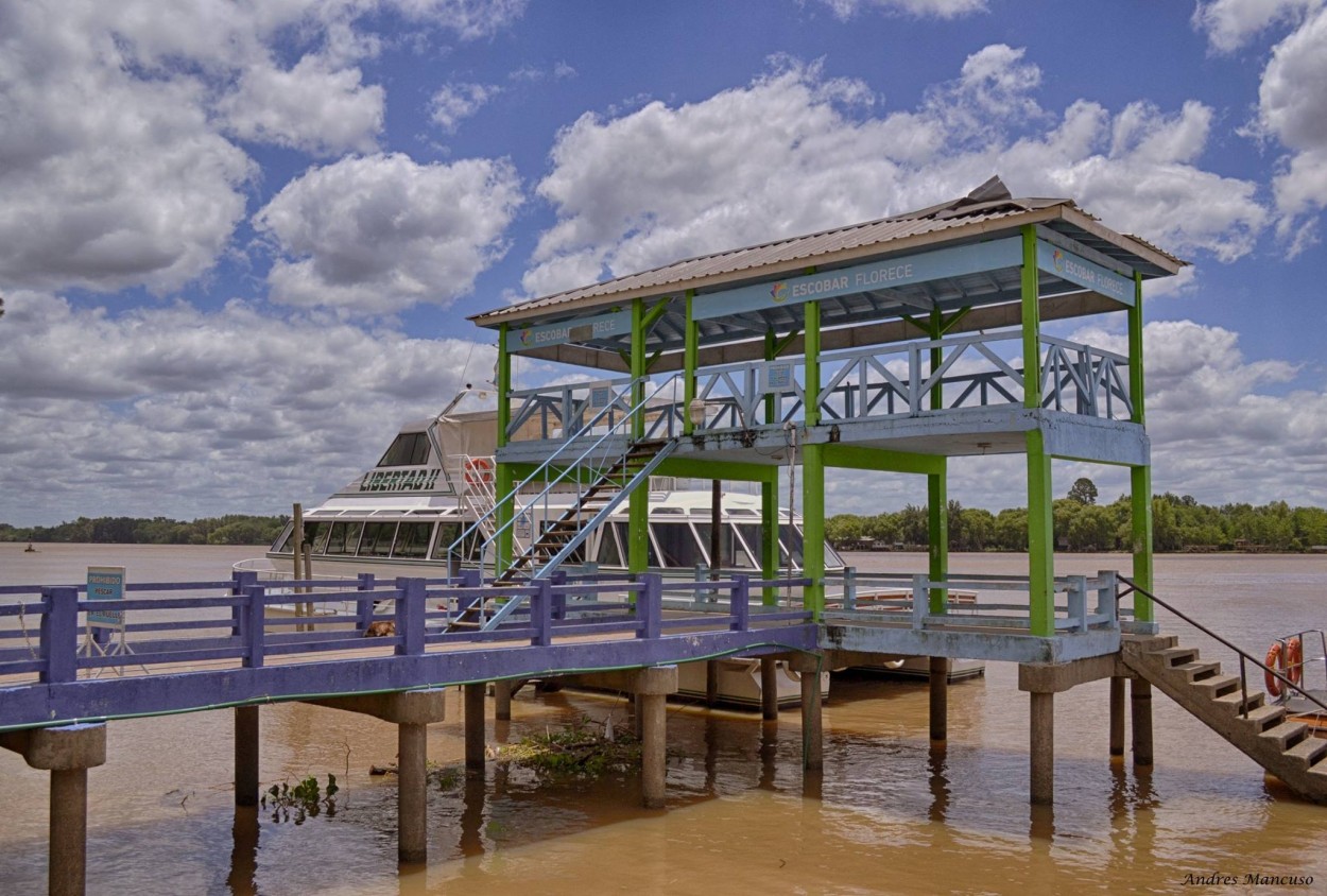 "Parana de las Palmas" de Andres Mancuso