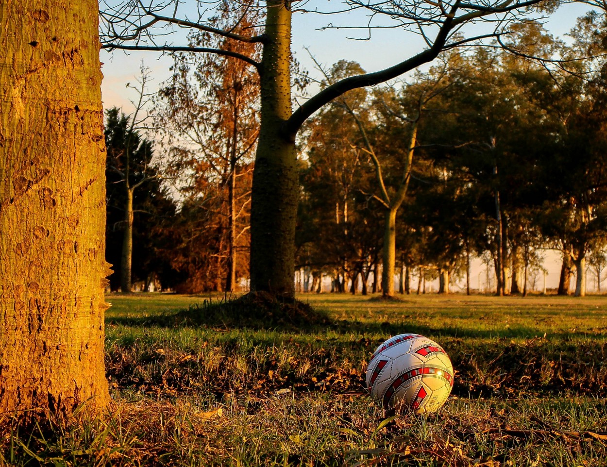 "Pelota parada" de Marzioni Martn Luis