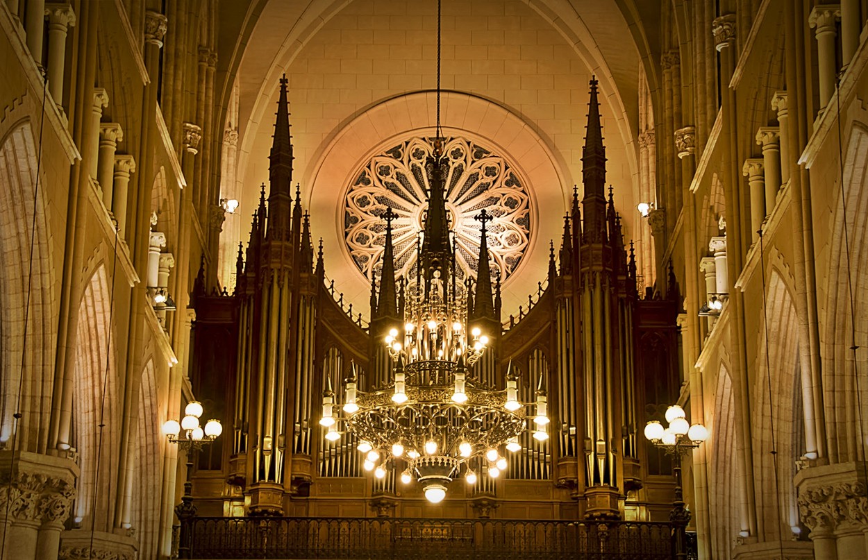 "Organo, luces y rosetn" de Luis Fernando Somma (fernando)