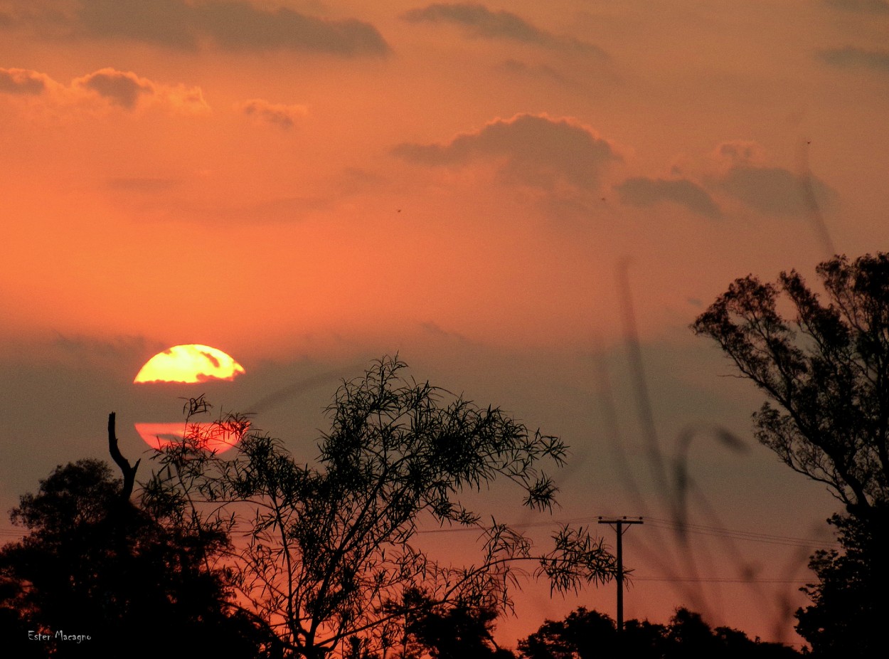 "Cuando el sol se dividi en colores." de Ester Francisca Macagno