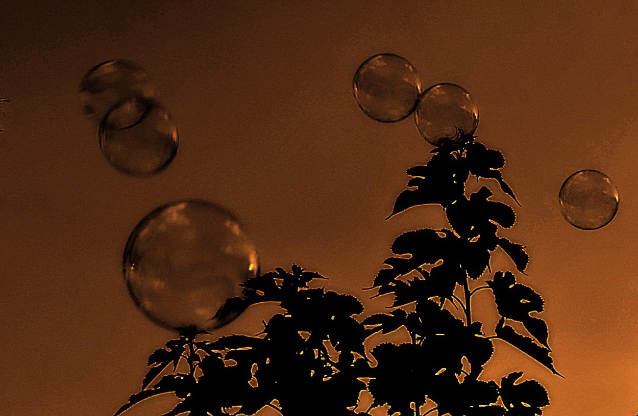 "Burbujas" de Silvia Olliari