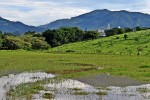 O velho Janeiro voltou....... ( Fv. ler )