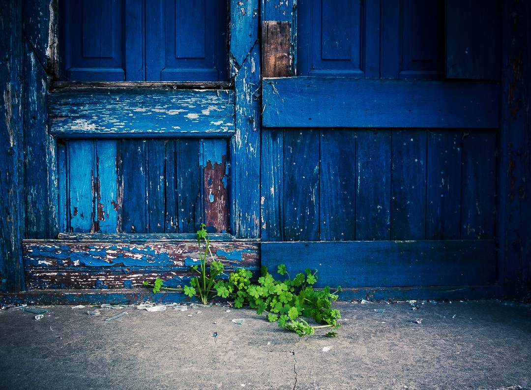 "Azul y verde" de Fernando Valdez Vazquez