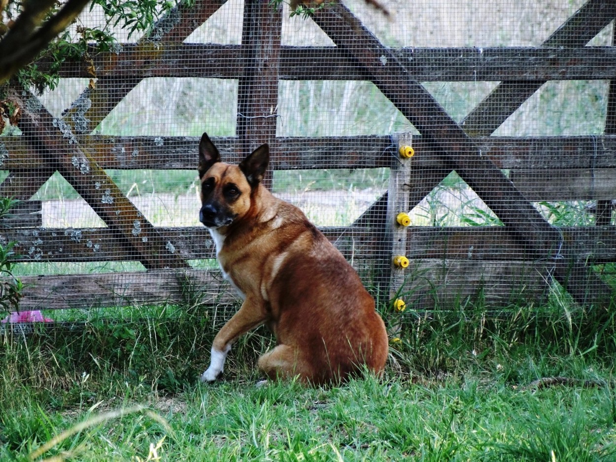 "lola atenta" de Eduardo Garcia Valsi