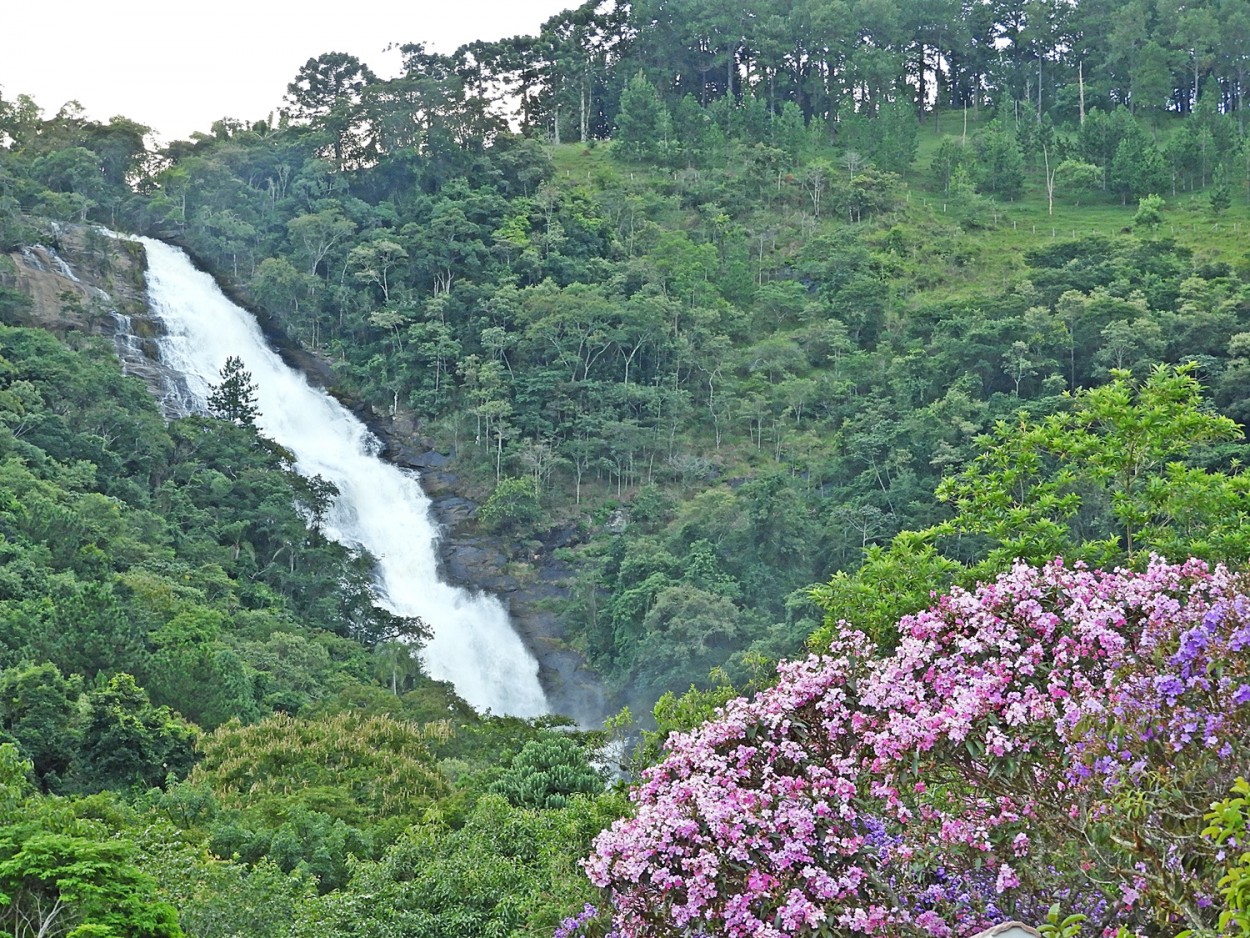 "Cachoeira dos Pretos ( Fv. ler )" de Decio Badari