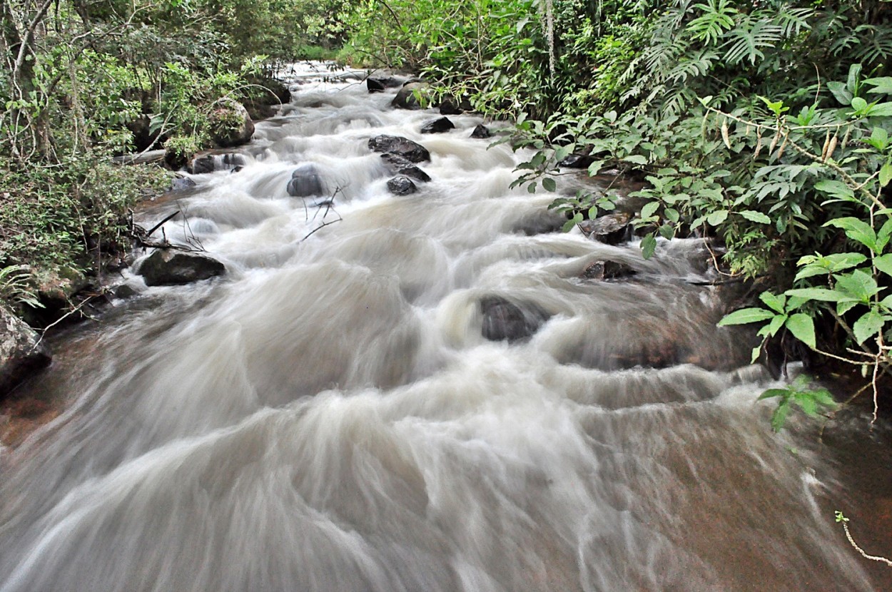 "Um santurio ecolgico ! Fv. ler )" de Decio Badari