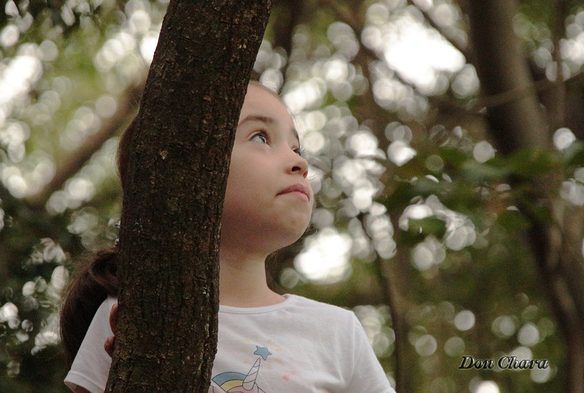 "Sofi" de Maximo Alberto Chara