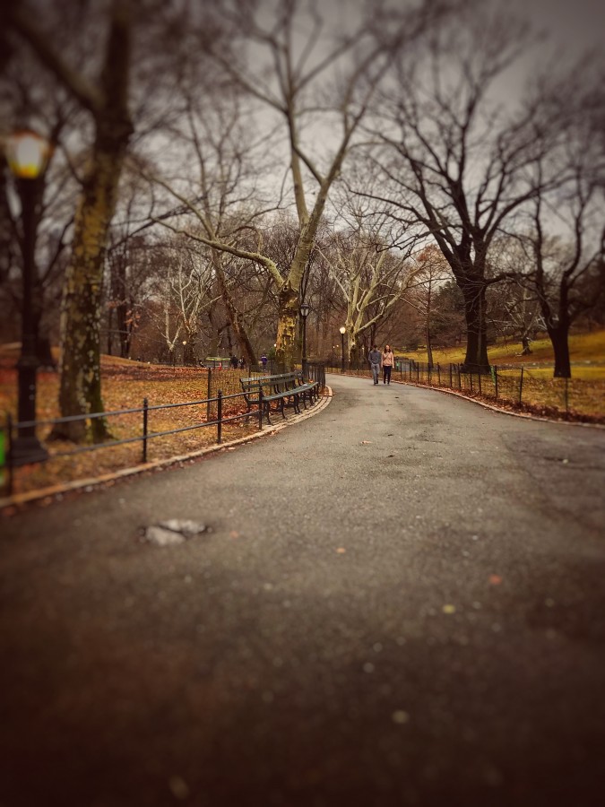 "Central Park" de Estanislao de Olmos