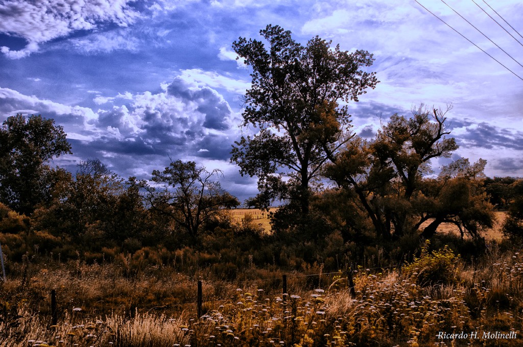 "Paisaje rural" de Ricardo H. Molinelli