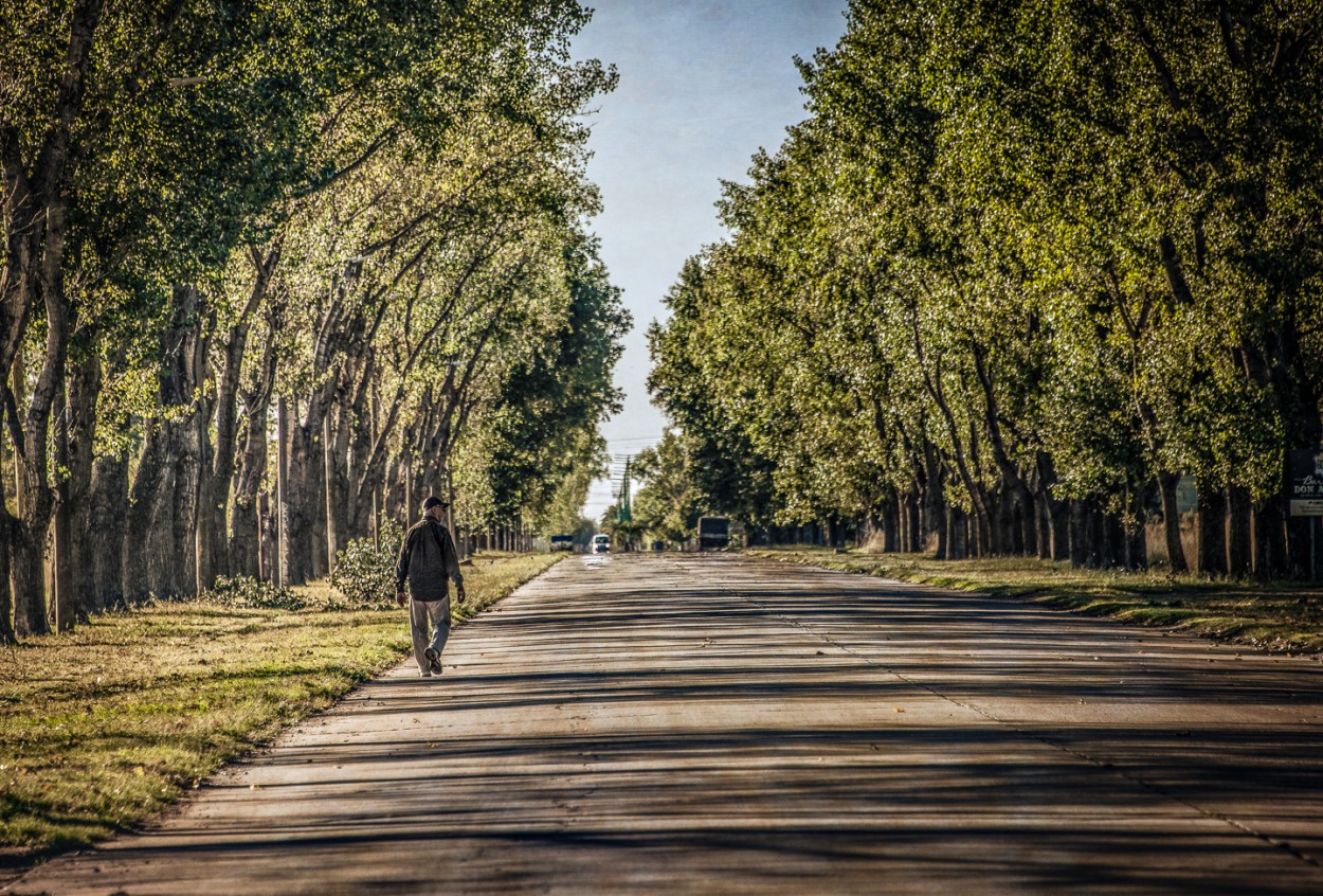 "Caminante de domingos" de Fernando Valdez Vazquez