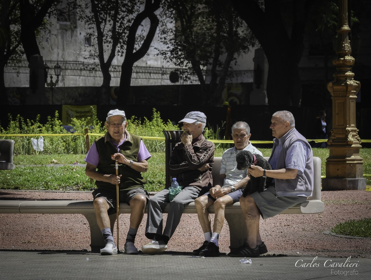 "`Viejos amigos`" de Carlos Cavalieri