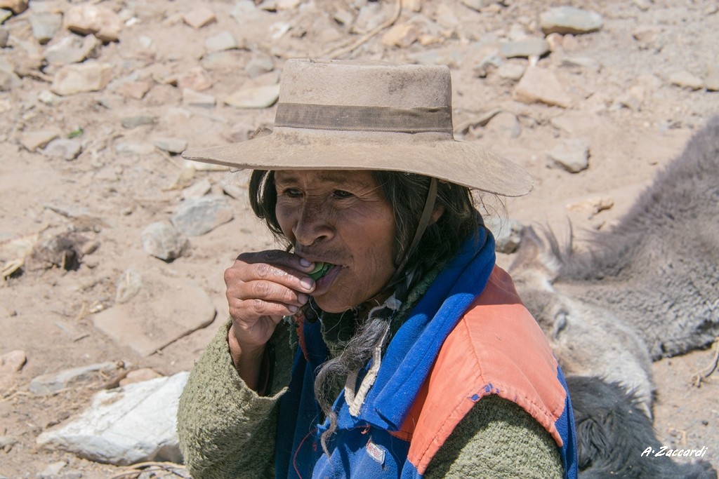 "Probando coca" de Adriana Zaccardi