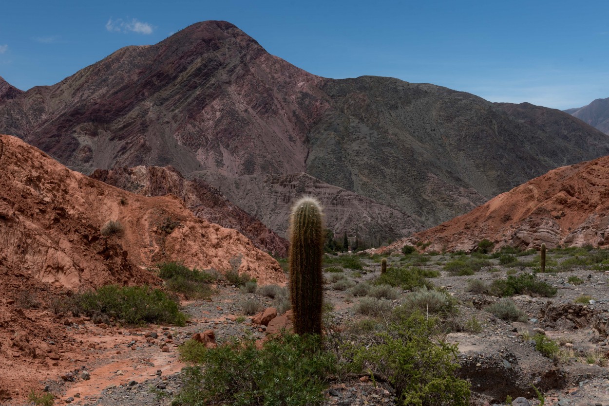 "Cerro macho" de Nacho Murugarren