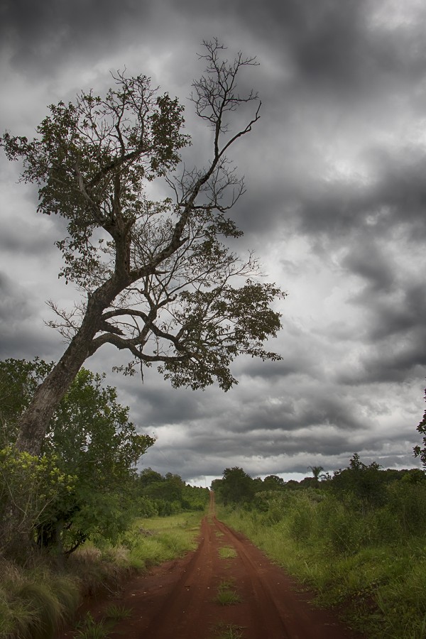 "camino misionero" de Edith Polverini