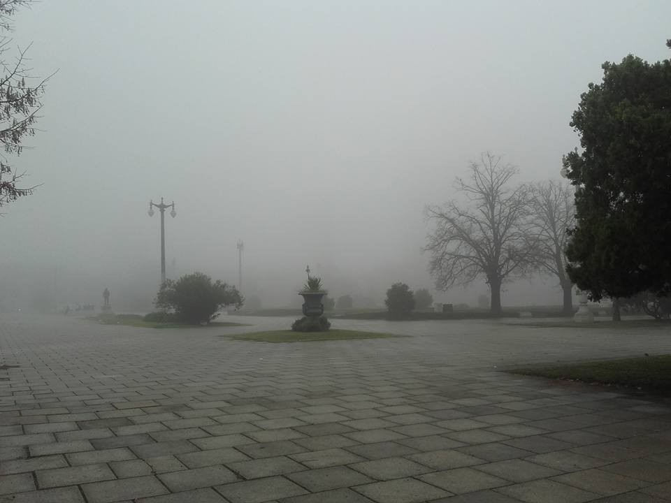 "Neblina matutina" de Ana Patricia Prestipino Giarritta