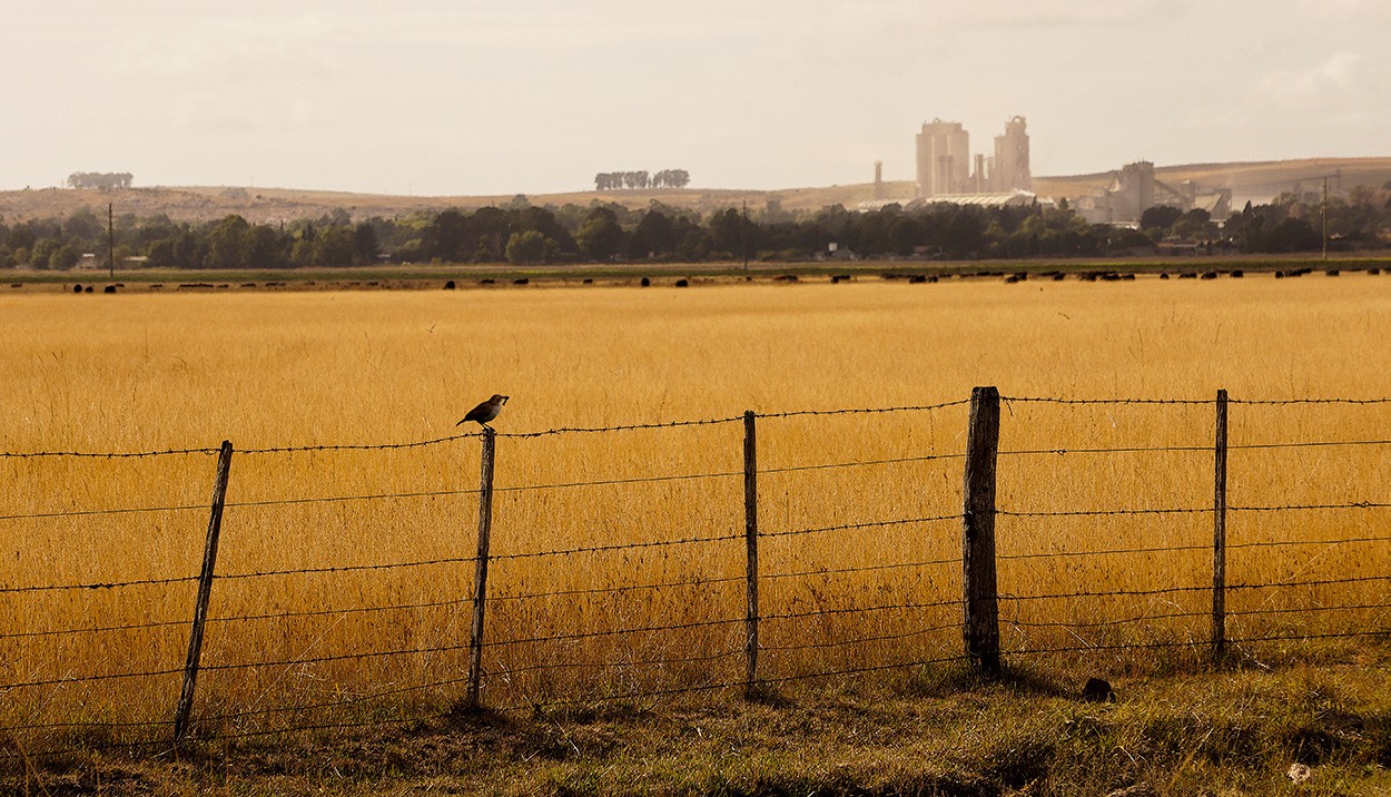 "Una Postal Olavarriense" de Gerardo Saint Martn