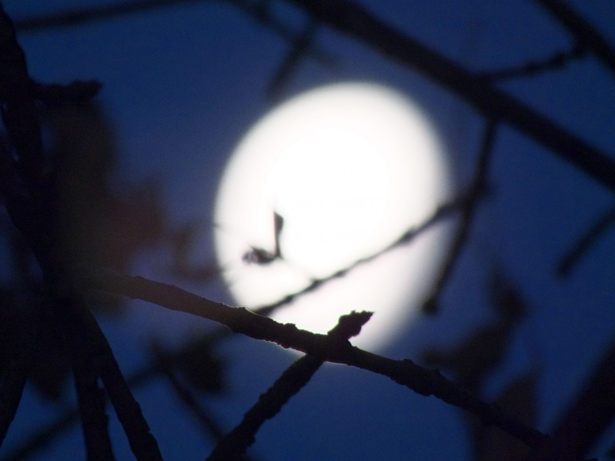 "Dibujando en la luna" de Juan Fco. Fernndez