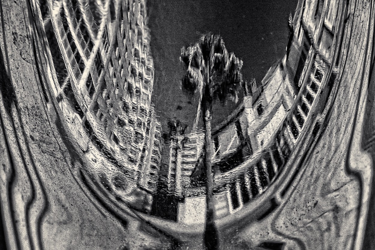 "Reflejos 1. La palmera" de Juan Beas