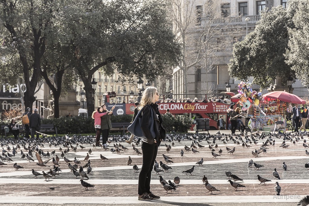 "En su mundo" de Adriana Pellegrinelli