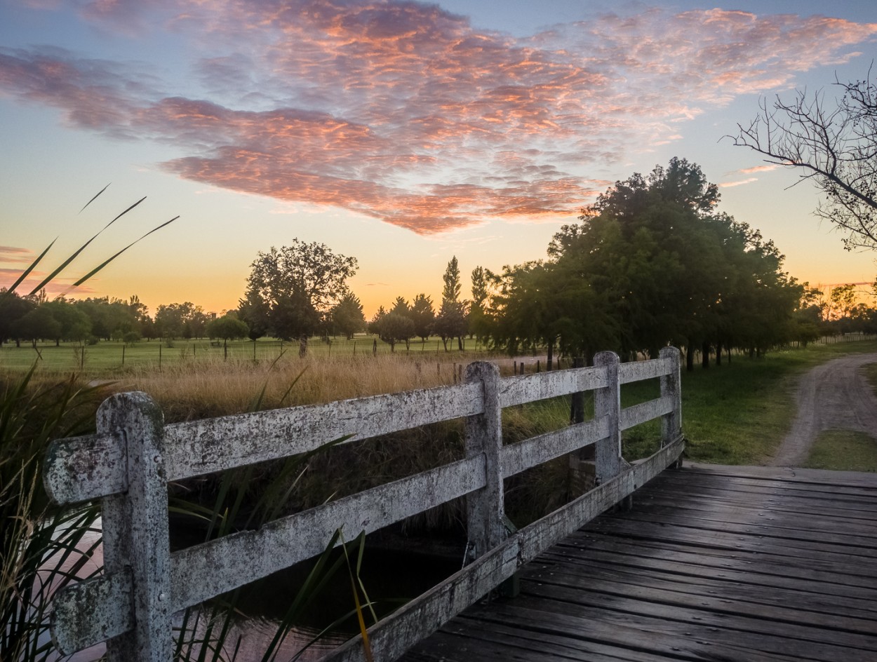 "Amanecer desde el puente" de Fernando Valdez Vazquez