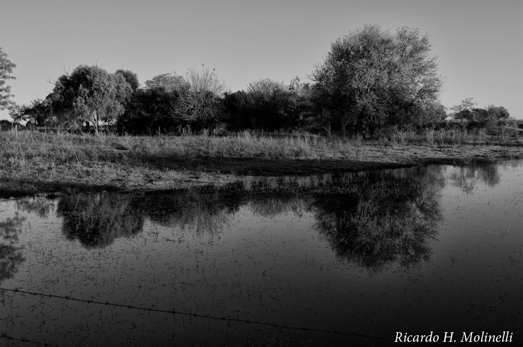 "Reflejo en la laguna" de Ricardo H. Molinelli