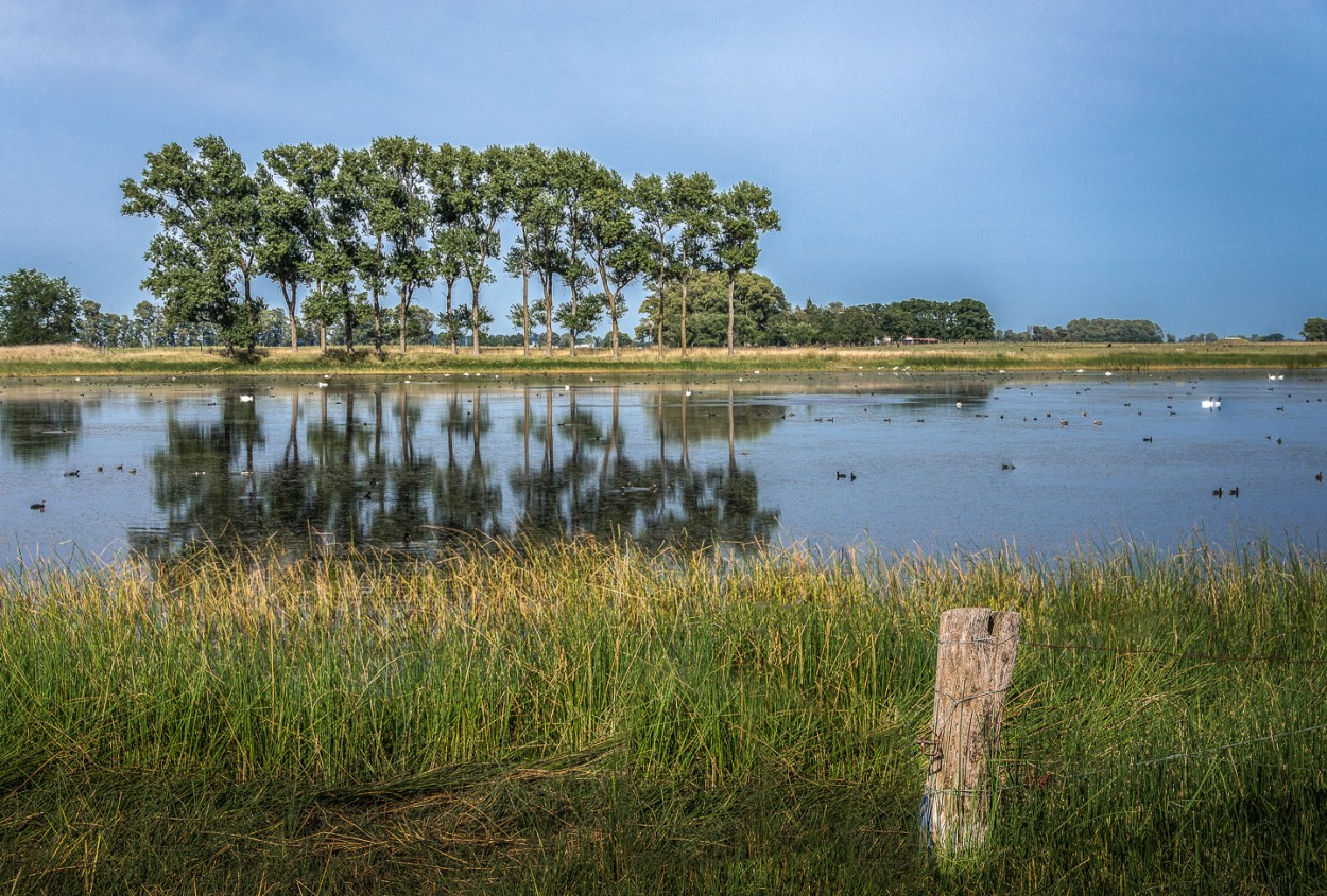 "La laguna" de Fernando Valdez Vazquez