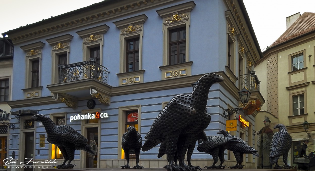 "Cuervos en la ciudad" de Eduardo Jurcak